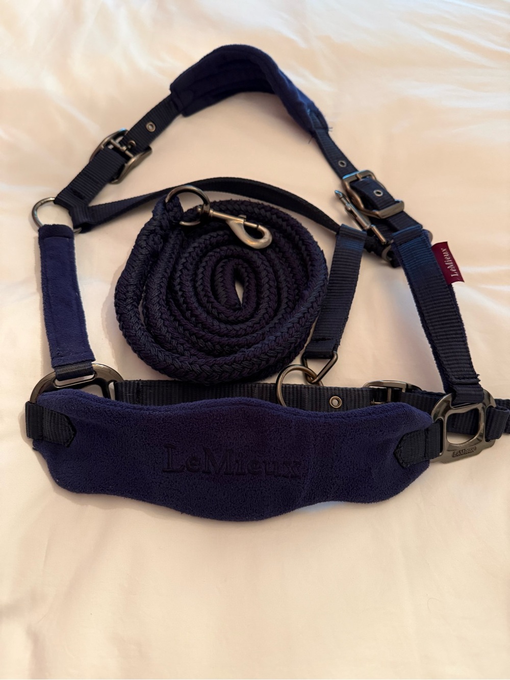 Lemieux Blue Halter and Lead Set